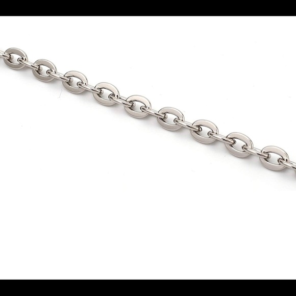 Replacement Chain for your Re-Edition Bag Handbag or Silver Felice or Pochette - Picture 2 of 4